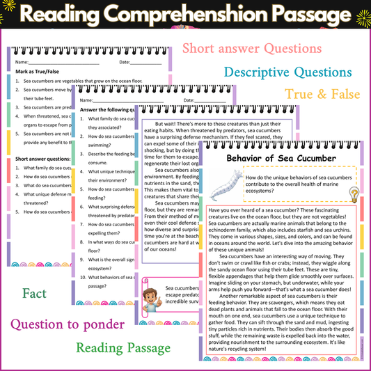 Behavior of Sea Cucumber | Reading Comprehension Passage and Questions
