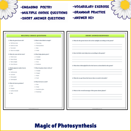 Magic of Photosynthesis | Poem Grammar Worksheet Printable Activity