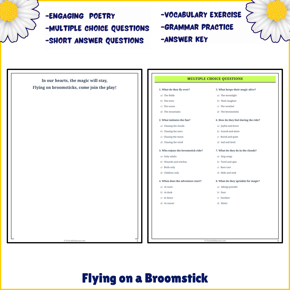 Flying on a Broomstick | Poem Grammar Worksheet Printable Activity