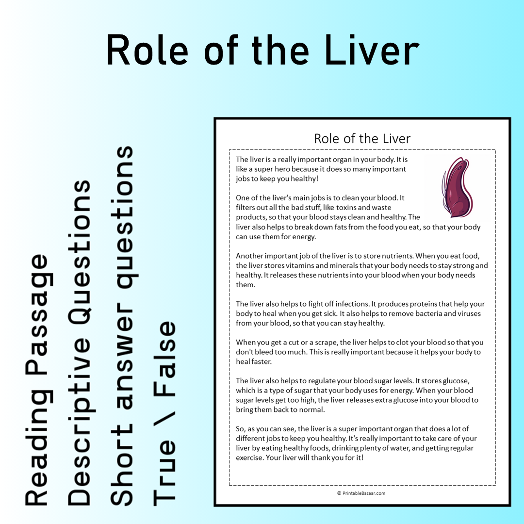 Role of the Liver | Reading Comprehension Passage Printable Worksheet
