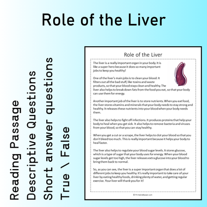 Role of the Liver | Reading Comprehension Passage Printable Worksheet