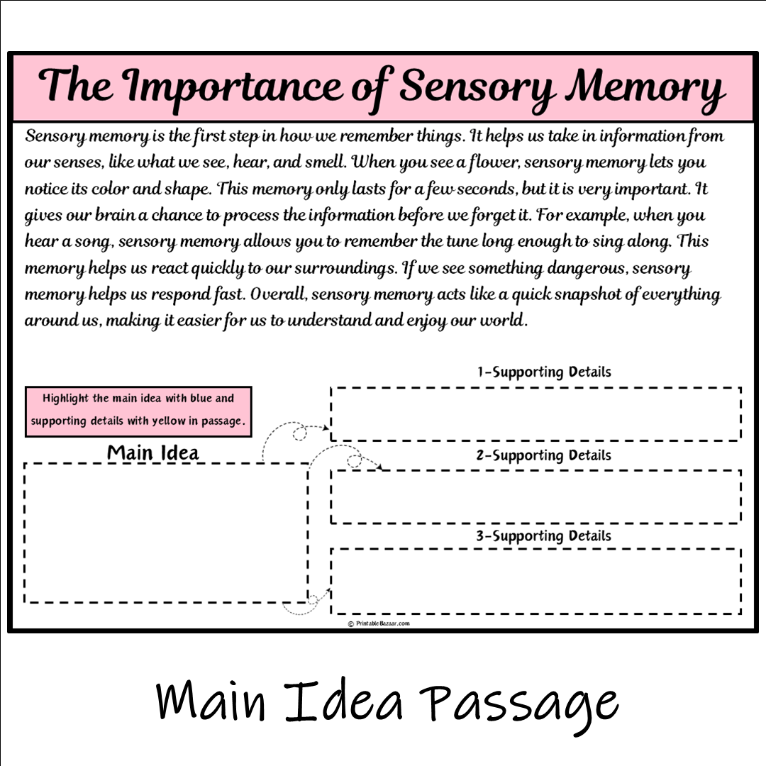 The Importance of Sensory Memory | Main Idea and Supporting Details Reading Passage and Questions