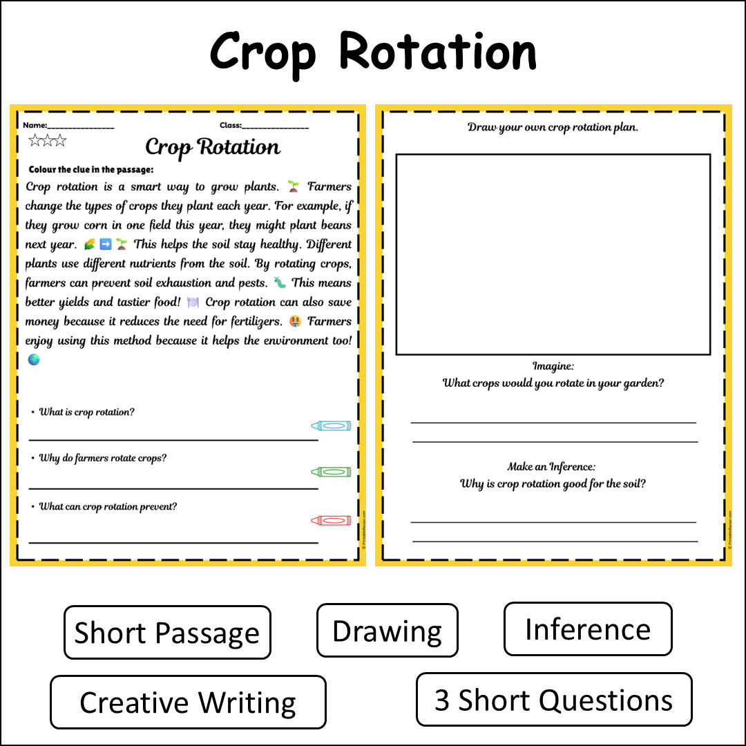 Crop Rotation | Short Reading Comprehension Creative Worksheet