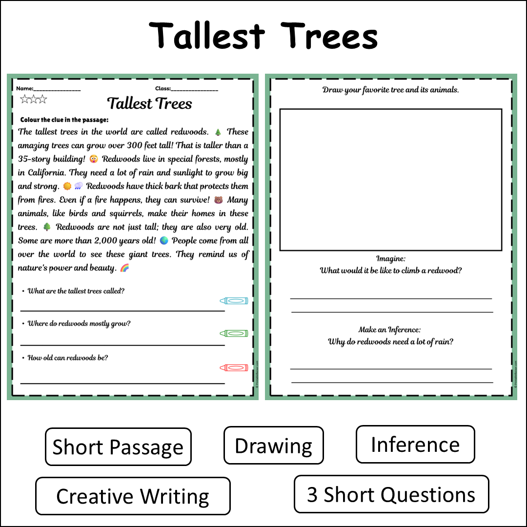 Tallest Trees | Short Reading Comprehension Creative Worksheet