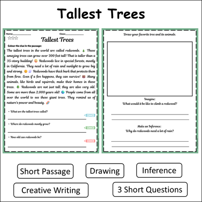 Tallest Trees | Short Reading Comprehension Creative Worksheet