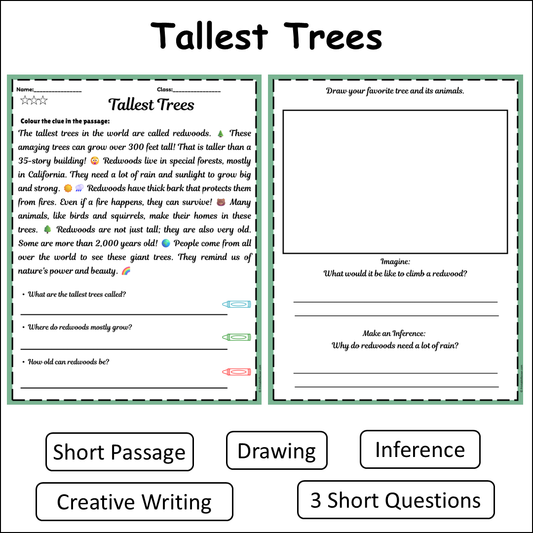 Tallest Trees | Short Reading Comprehension Creative Worksheet