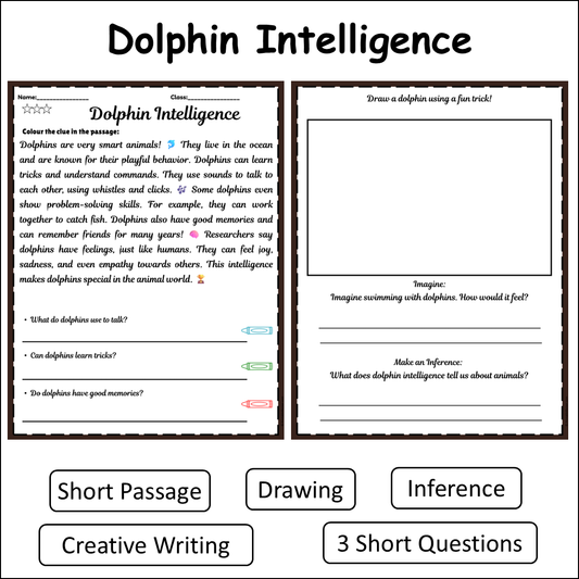 Dolphin Intelligence | Short Reading Comprehension Creative Worksheet