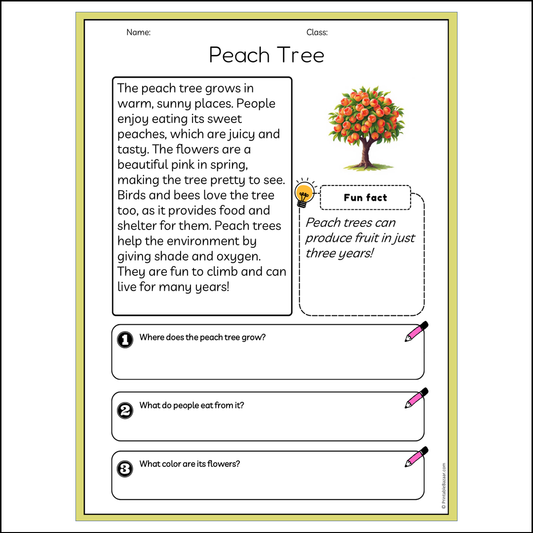 Peach Tree | Reading Passage Comprehension Questions Writing Facts Worksheet