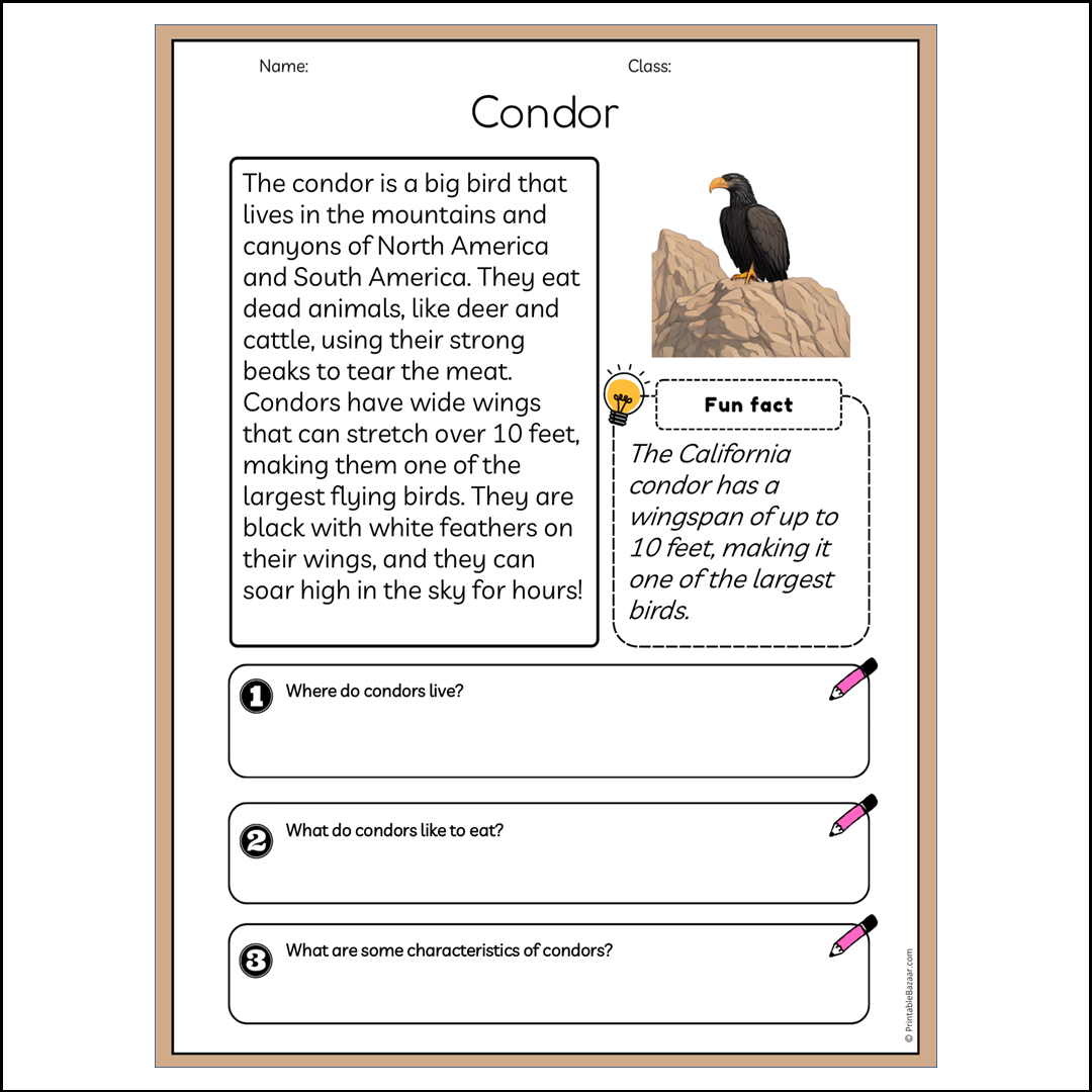 Condor | Reading Passage Comprehension Questions Writing Facts Worksheet