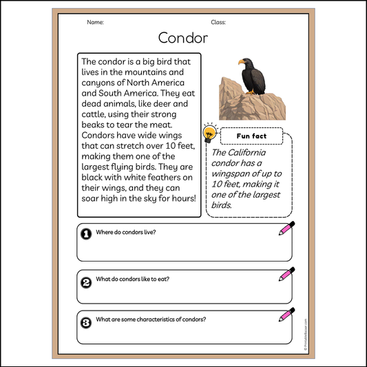 Condor | Reading Passage Comprehension Questions Writing Facts Worksheet