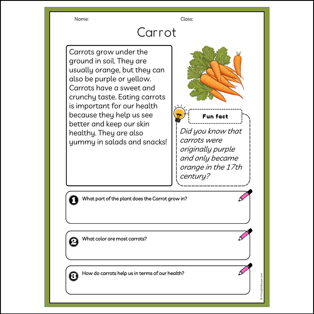 Carrot | Reading Passage Comprehension Questions Writing Facts Worksheet