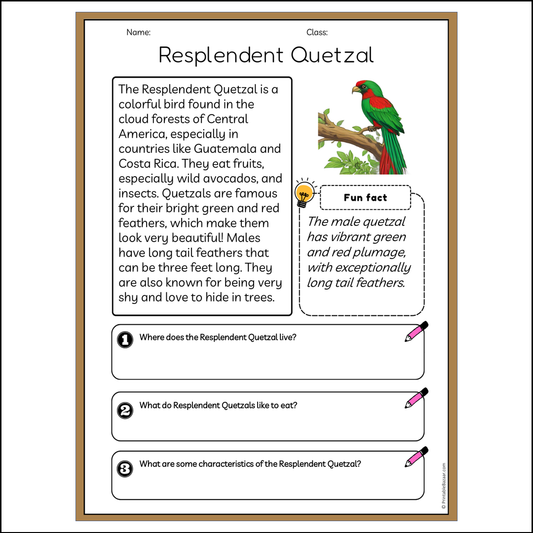 Resplendent Quetzal | Reading Passage Comprehension Questions Writing Facts Worksheet