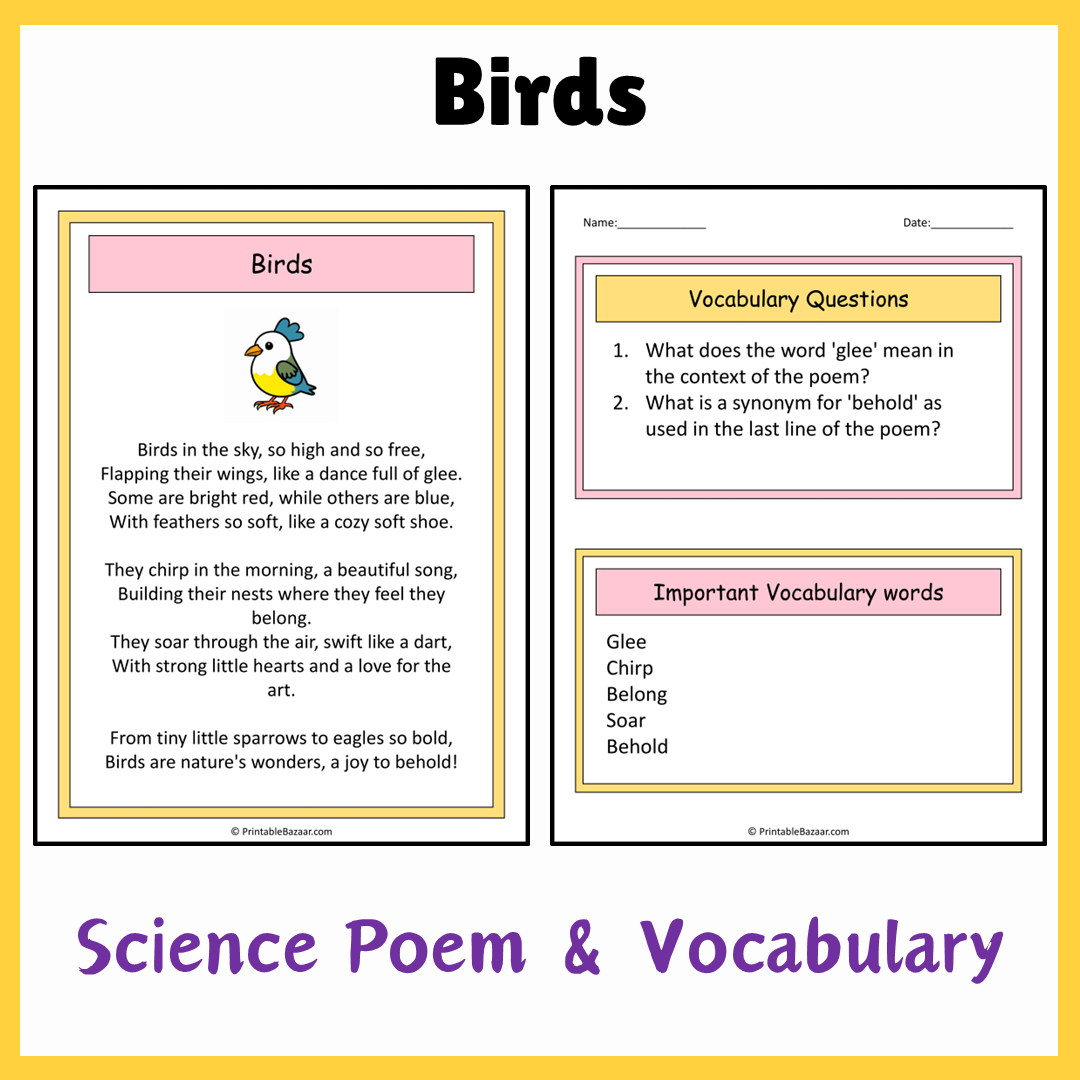 Birds | Science Poem Reading Comprehension Activity