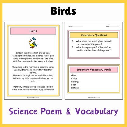 Birds | Science Poem Reading Comprehension Activity