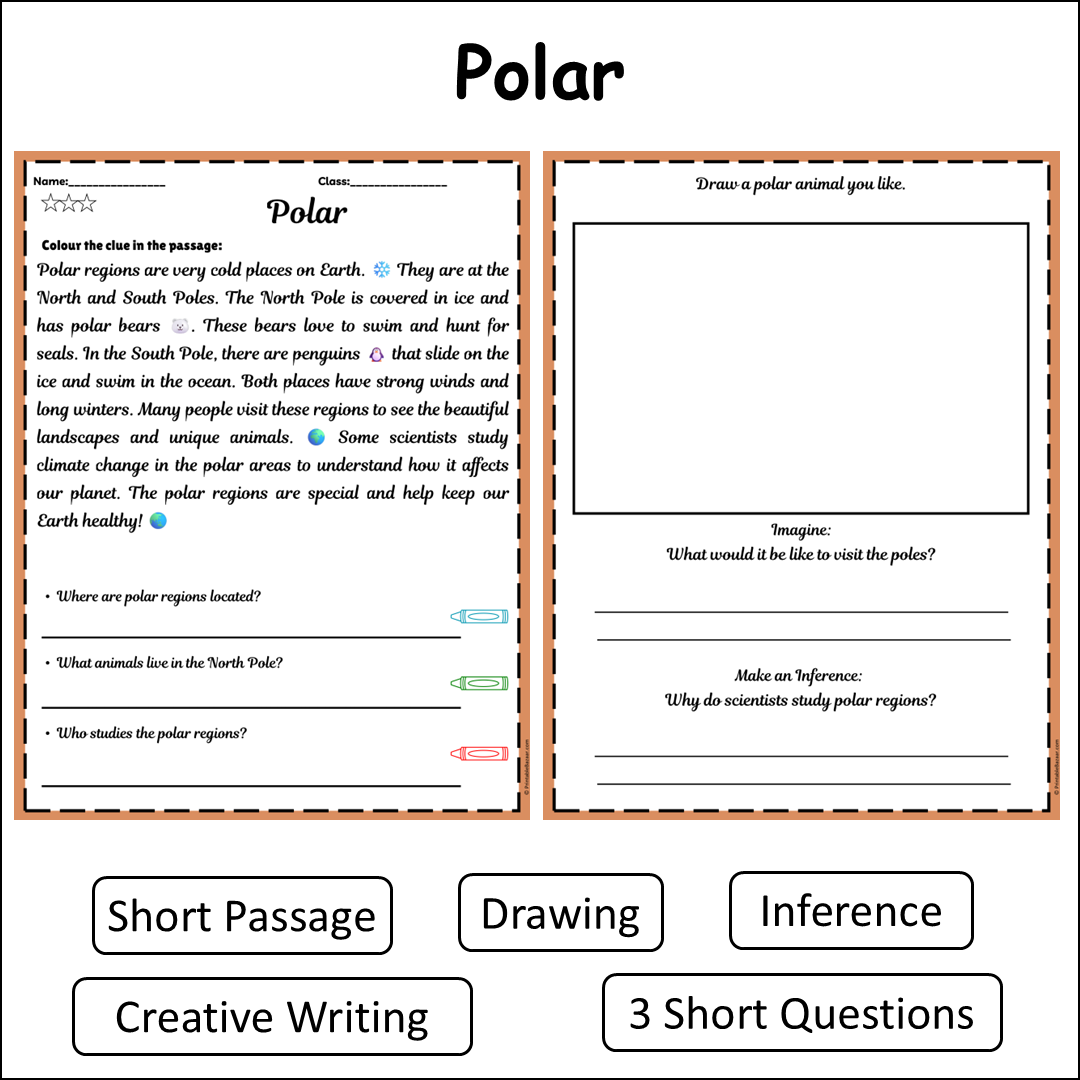 Polar | Short Reading Comprehension Creative Worksheet
