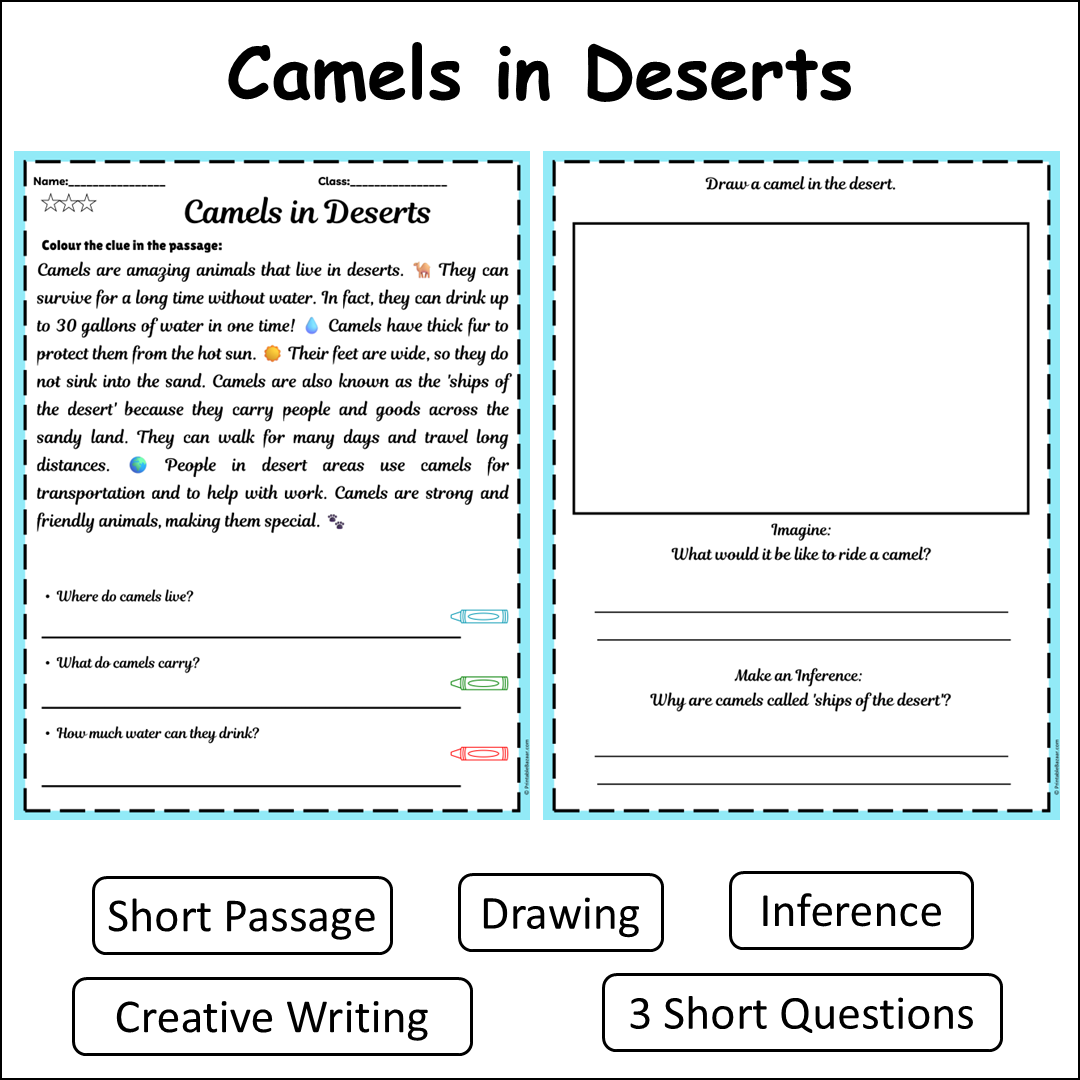 Camels in Deserts | Short Reading Comprehension Creative Worksheet