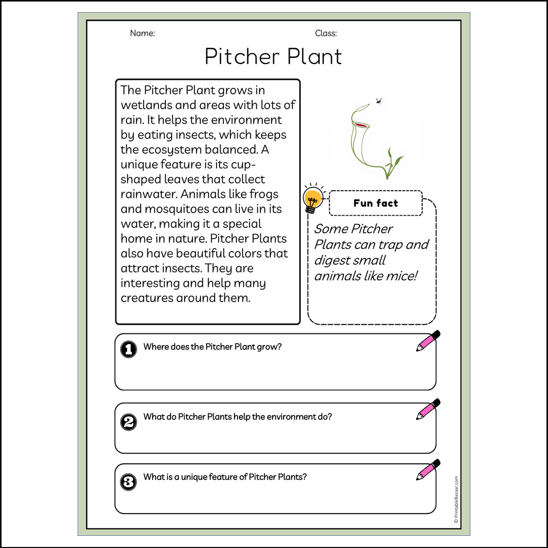 Pitcher Plant | Reading Passage Comprehension Questions Writing Facts Worksheet