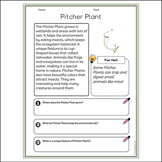 Pitcher Plant | Reading Passage Comprehension Questions Writing Facts Worksheet