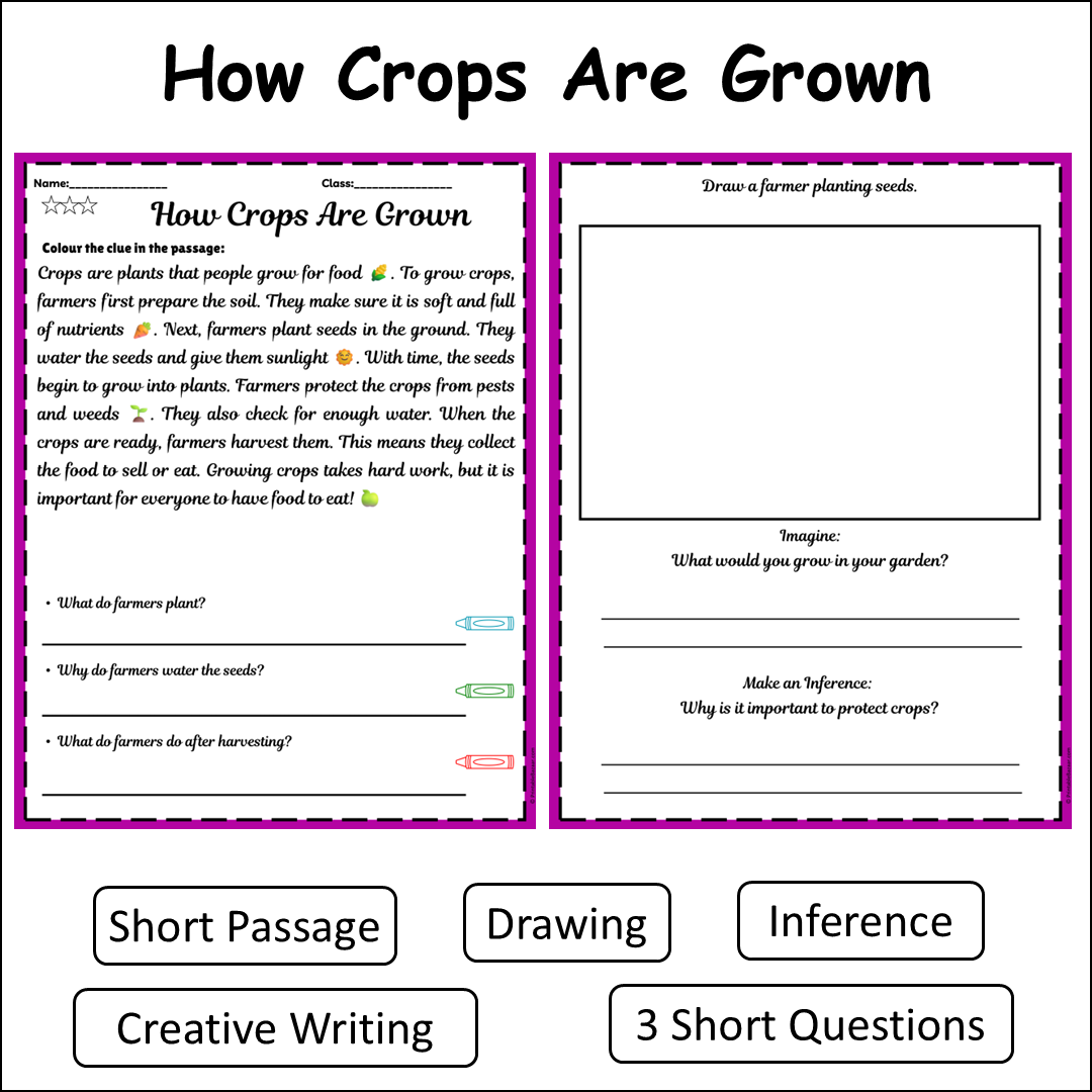 How Crops Are Grown | Short Reading Comprehension Creative Worksheet