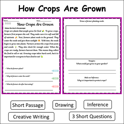 How Crops Are Grown | Short Reading Comprehension Creative Worksheet