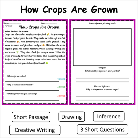 How Crops Are Grown | Short Reading Comprehension Creative Worksheet