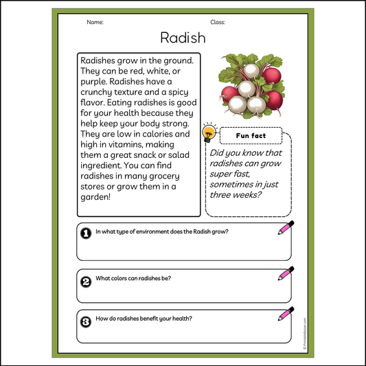 Radish | Reading Passage Comprehension Questions Writing Facts Worksheet