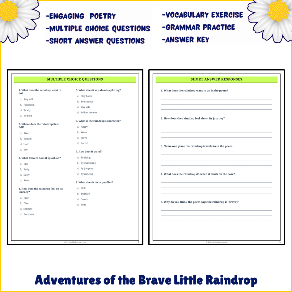 Adventures of the Brave Little Raindrop | Poem Grammar Worksheet Printable Activity