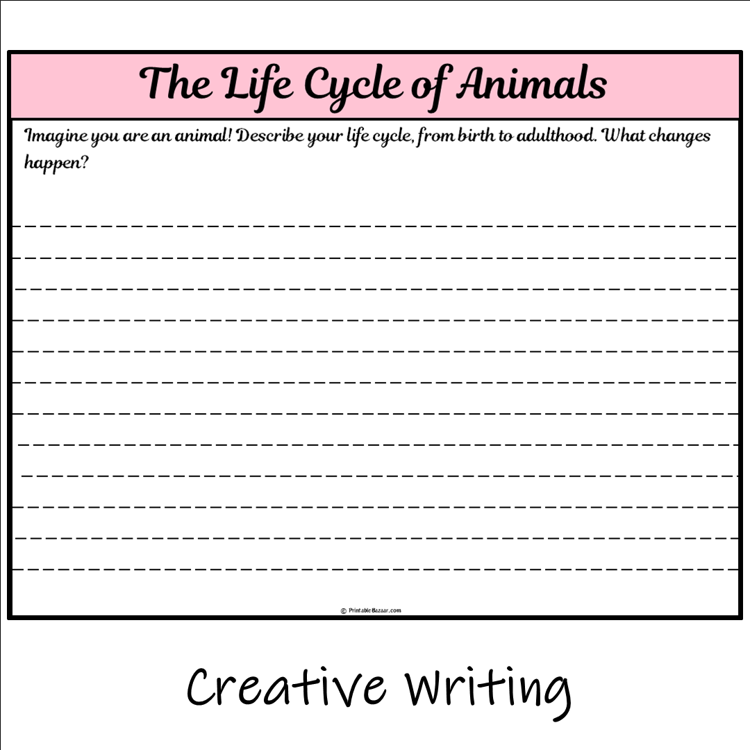 The Life Cycle of Animals | Main Idea and Supporting Details Reading Passage and Questions