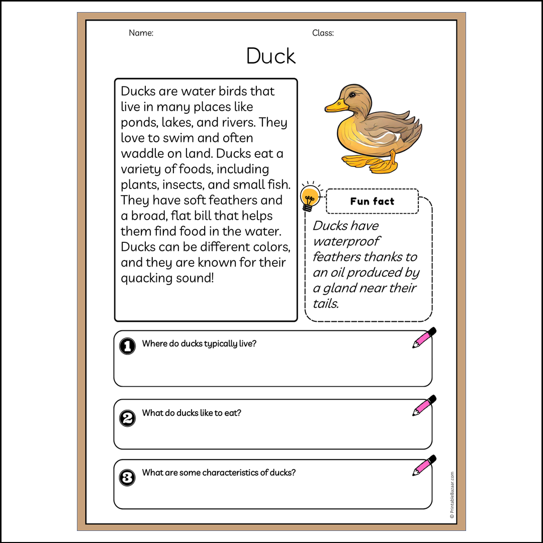 Duck | Reading Passage Comprehension Questions Writing Facts Worksheet