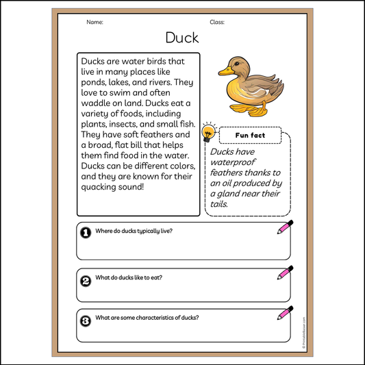 Duck | Reading Passage Comprehension Questions Writing Facts Worksheet