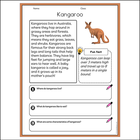 Kangaroo | Reading Passage Comprehension Questions Writing Facts Worksheet