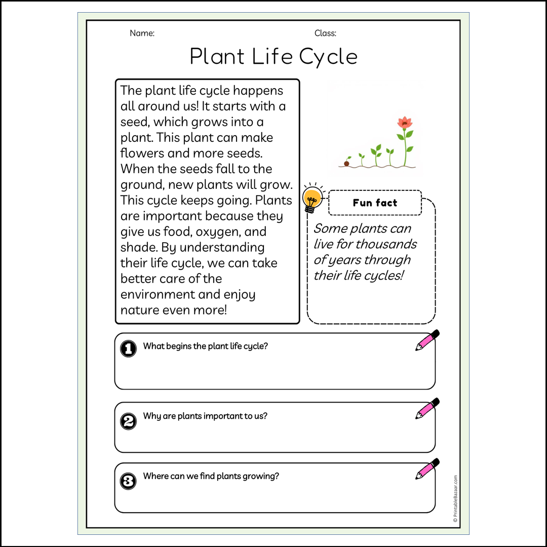 Plant Life Cycle | Reading Passage Comprehension Questions Writing Facts Worksheet