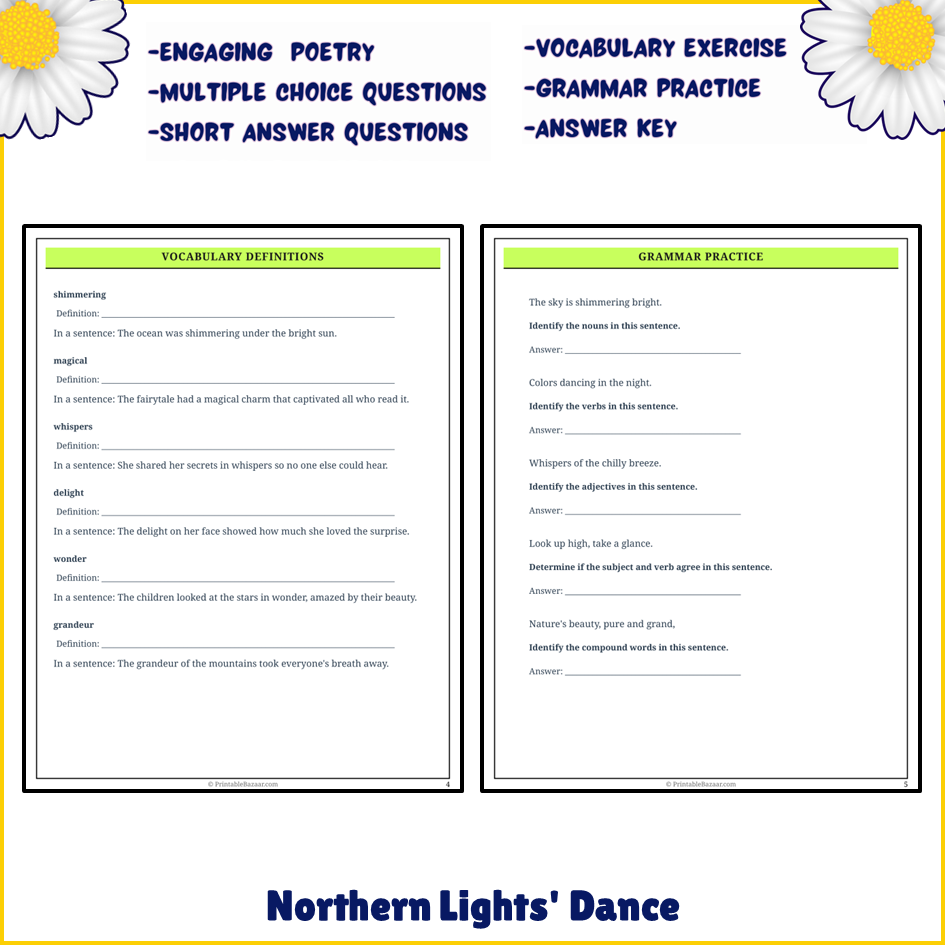 Northern Lights' Dance | Poem Grammar Worksheet Printable Activity
