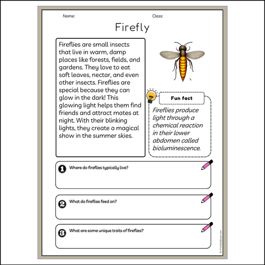 Firefly | Reading Passage Comprehension Questions Writing Facts Worksheet