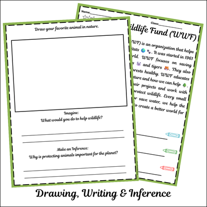 World Wildlife Fund (WWF) | Short Reading Comprehension Creative Worksheet