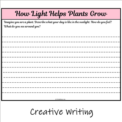 How Light Helps Plants Grow | Main Idea and Supporting Details Reading Passage and Questions