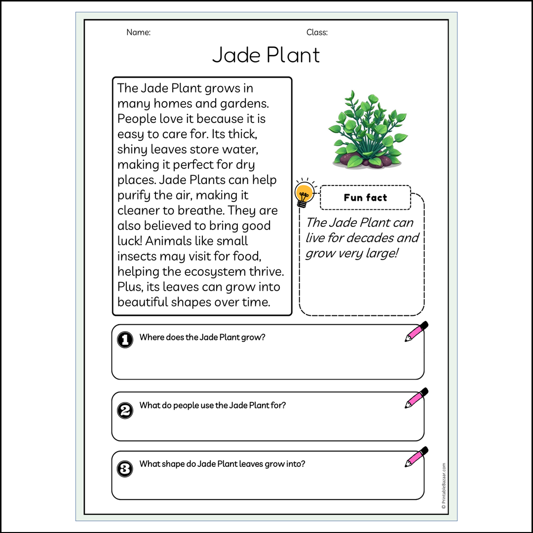 Jade Plant | Reading Passage Comprehension Questions Writing Facts Worksheet