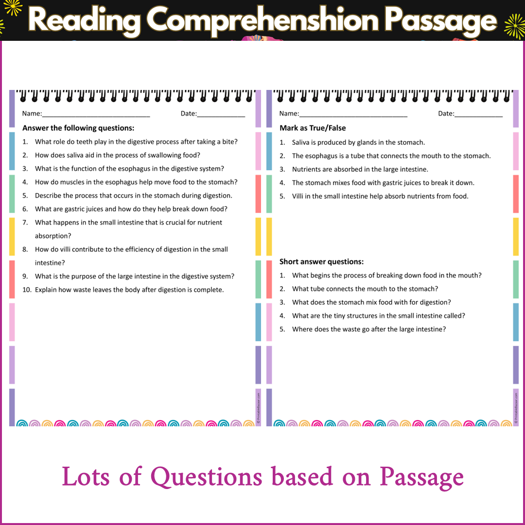 The Digestive System | Reading Comprehension Passage and Questions