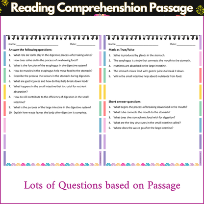 The Digestive System | Reading Comprehension Passage and Questions