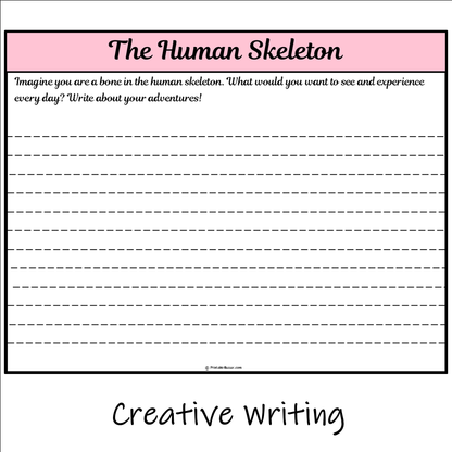 The Human Skeleton | Main Idea and Supporting Details Reading Passage and Questions