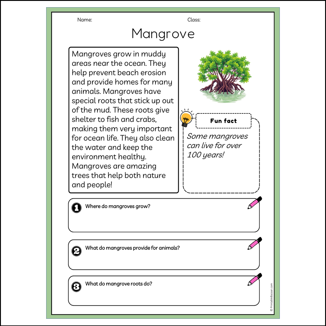 Mangrove | Reading Passage Comprehension Questions Writing Facts Worksheet