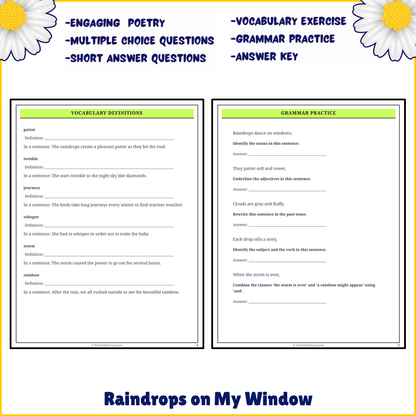 Raindrops on My Window | Poem Grammar Worksheet Printable Activity