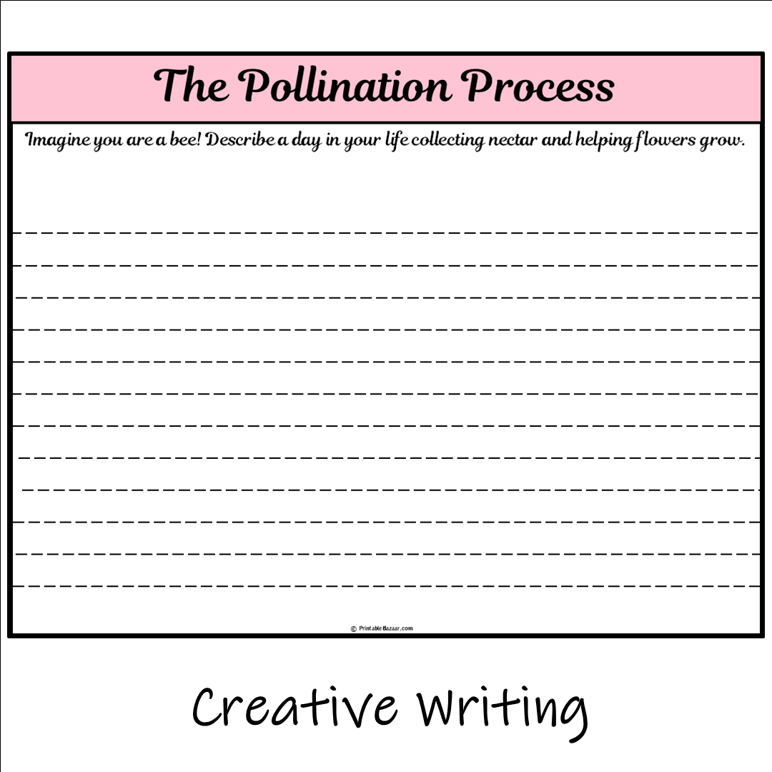 The Pollination Process | Main Idea and Supporting Details Reading Passage and Questions