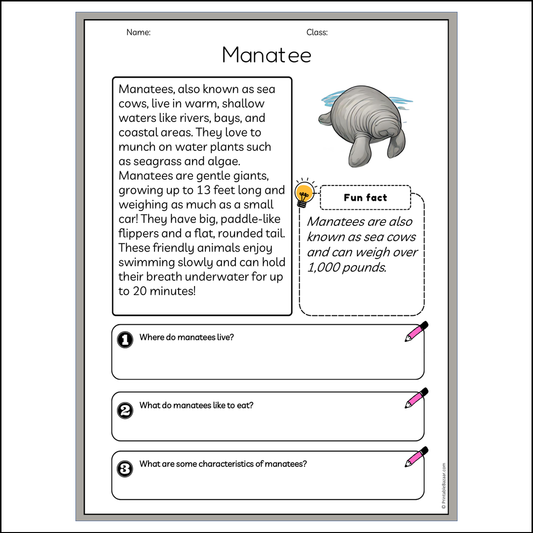 Manatee | Reading Passage Comprehension Questions Writing Facts Worksheet