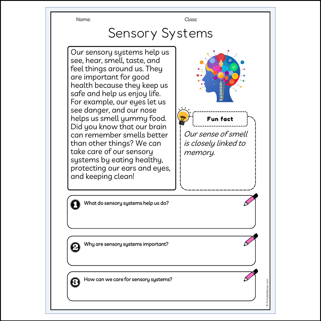 Sensory Systems | Reading Passage Comprehension Questions Writing Facts Worksheet