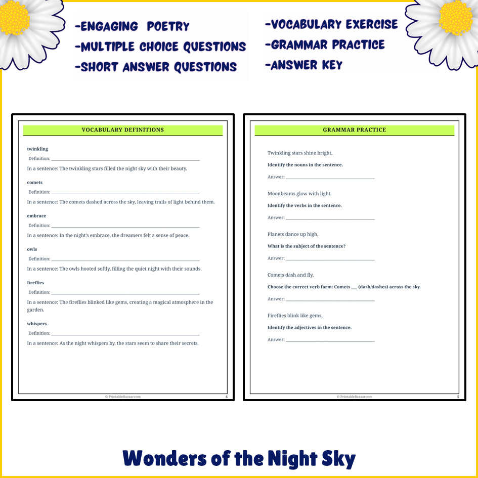 Wonders of the Night Sky | Poem Grammar Worksheet Printable Activity