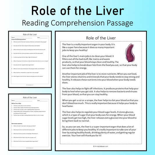 Role of the Liver | Reading Comprehension Passage Printable Worksheet