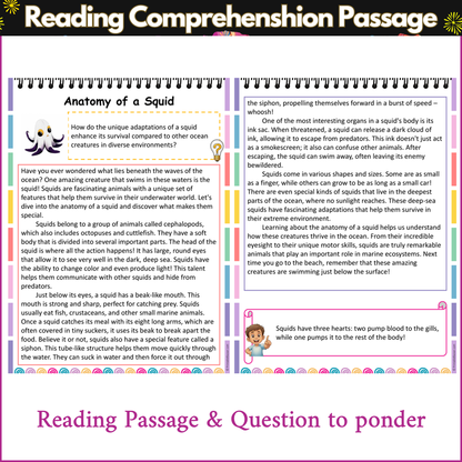 Anatomy of a Squid | Reading Comprehension Passage and Questions