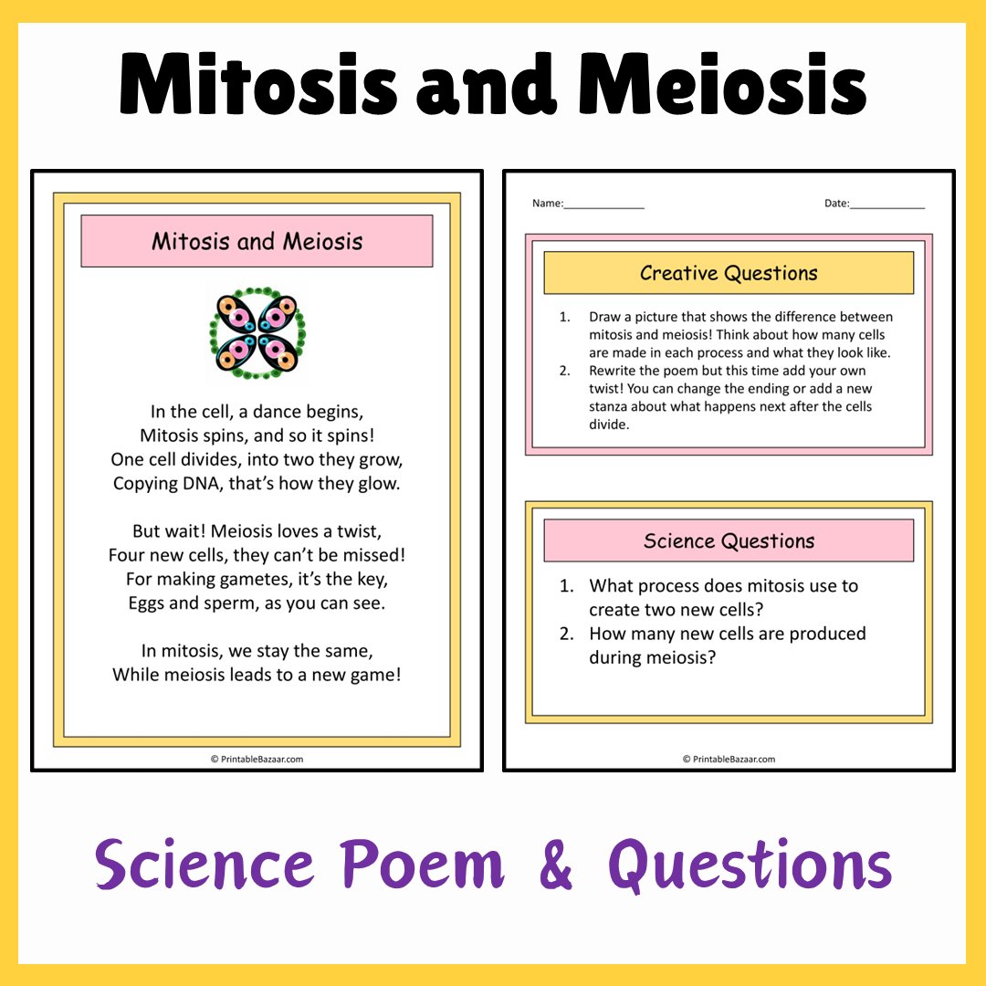 Mitosis and Meiosis | Science Poem Reading Comprehension Activity