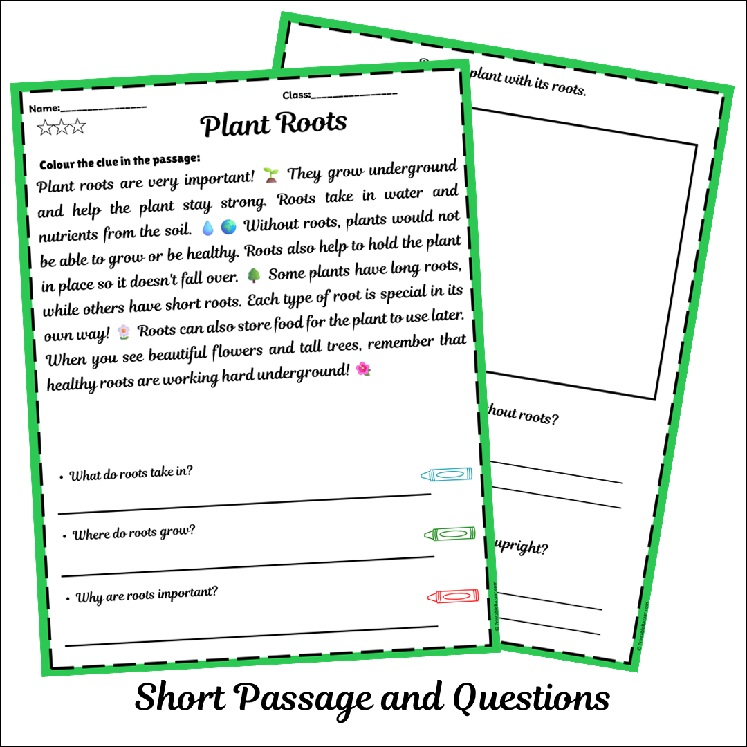 Plant Roots | Short Reading Comprehension Creative Worksheet